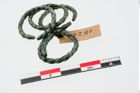 Foto von Bronzering (NHMW-PRAE-024291)